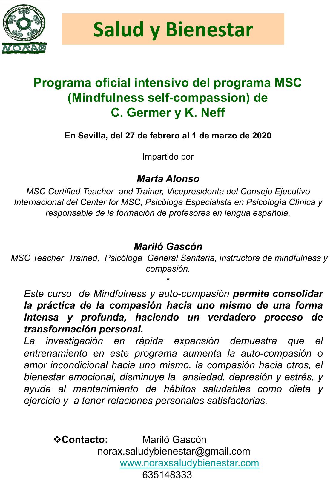 Programa oficial intensivo MSC (Mindfulness self-compassion). Sevilla, febrero 2020