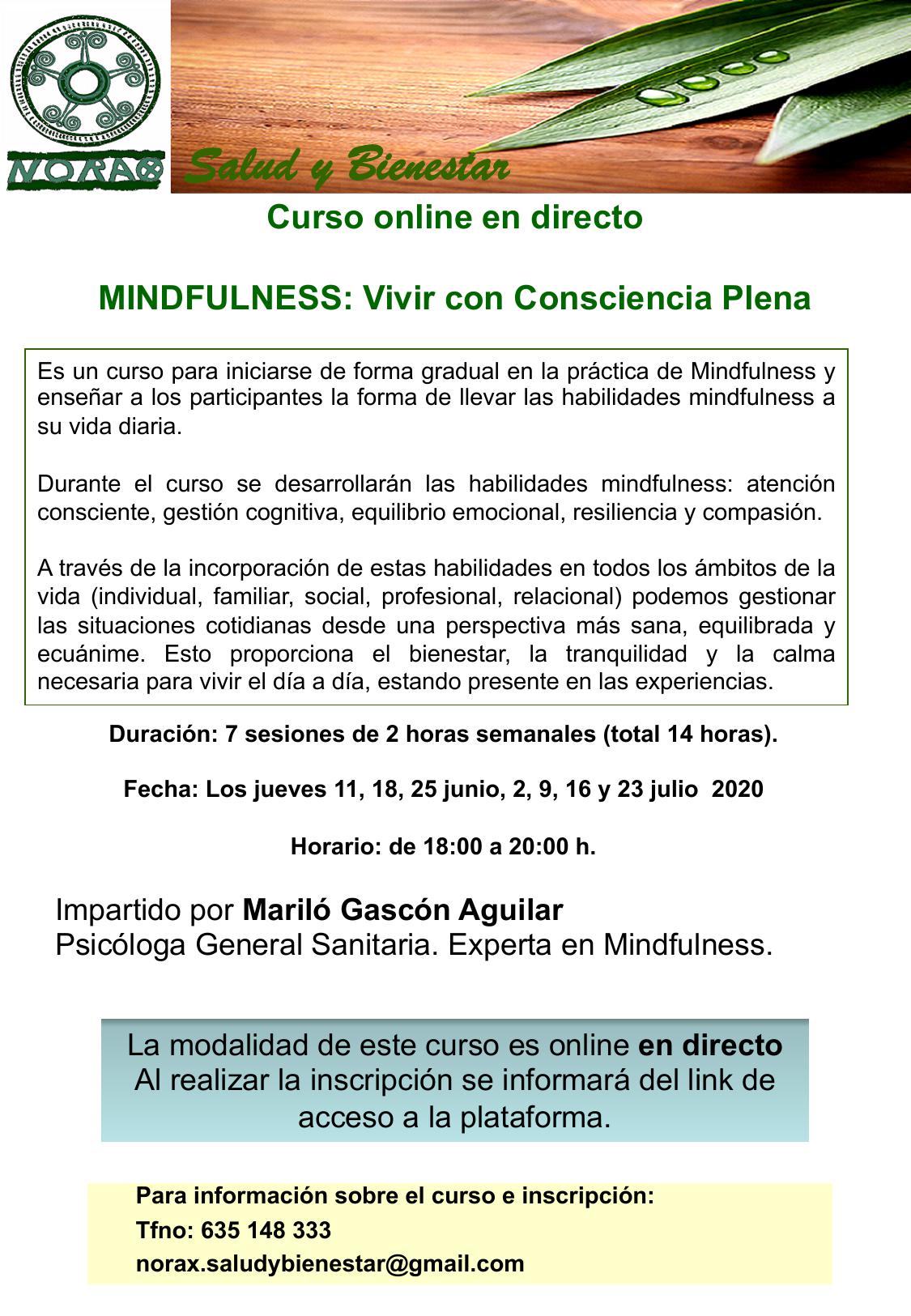 Curso online EN DIRECTO «MINDFULNESS: VIVIR CON CONSCIENCIA PLENA». Del 11 de junio al 23 de julio de 2020