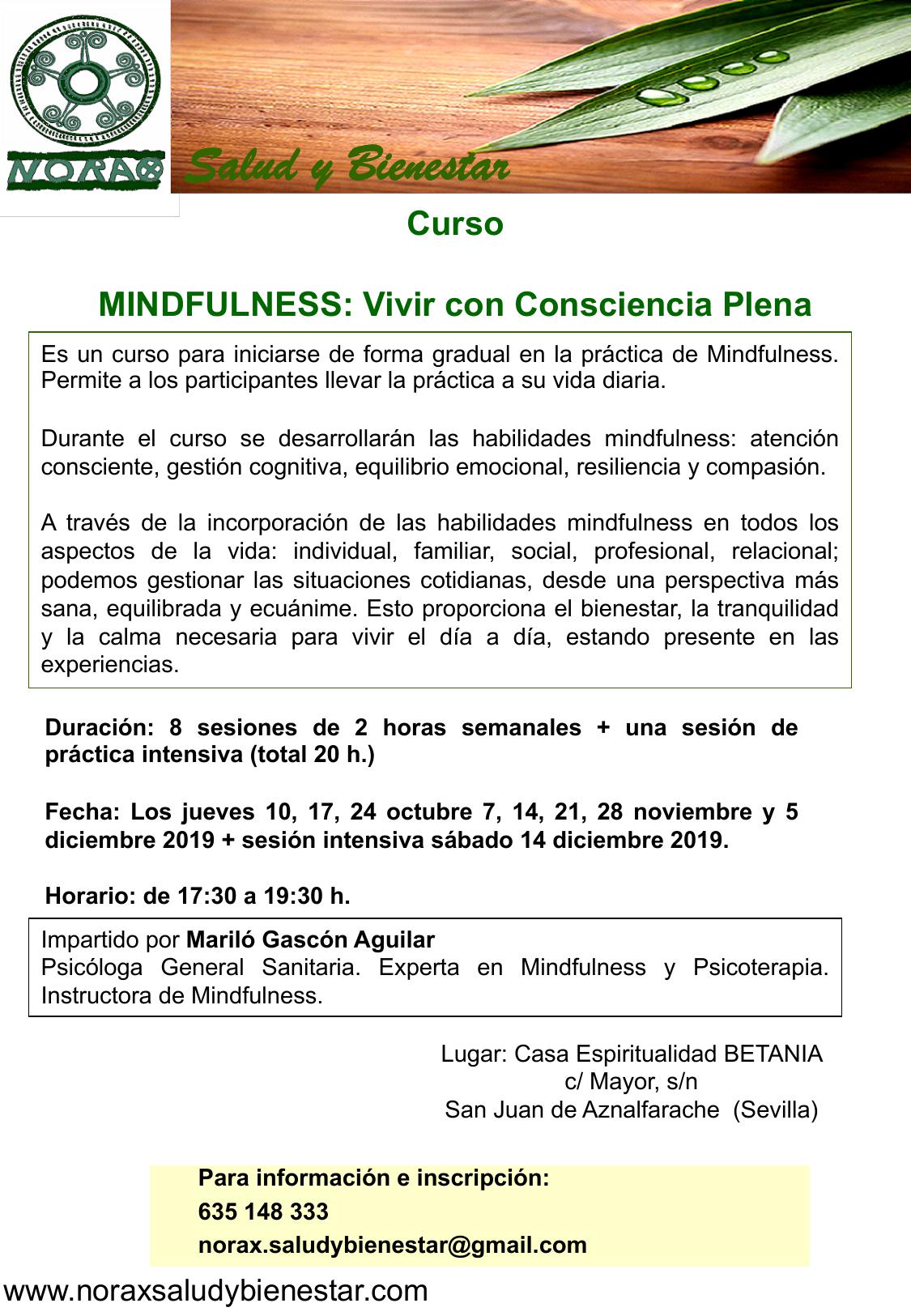 Curso MINDFULNESS: Vivir con consciencia plena. Del 10 octubre al 14 diciembre 2019 en Sevilla.