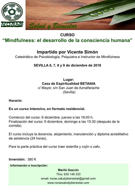 Curso MINDFULNESS: el desarrollo de la consciencia humana. Impartido por VICENTE SIMÓN. del 6 al 9 de diciembre de 2018