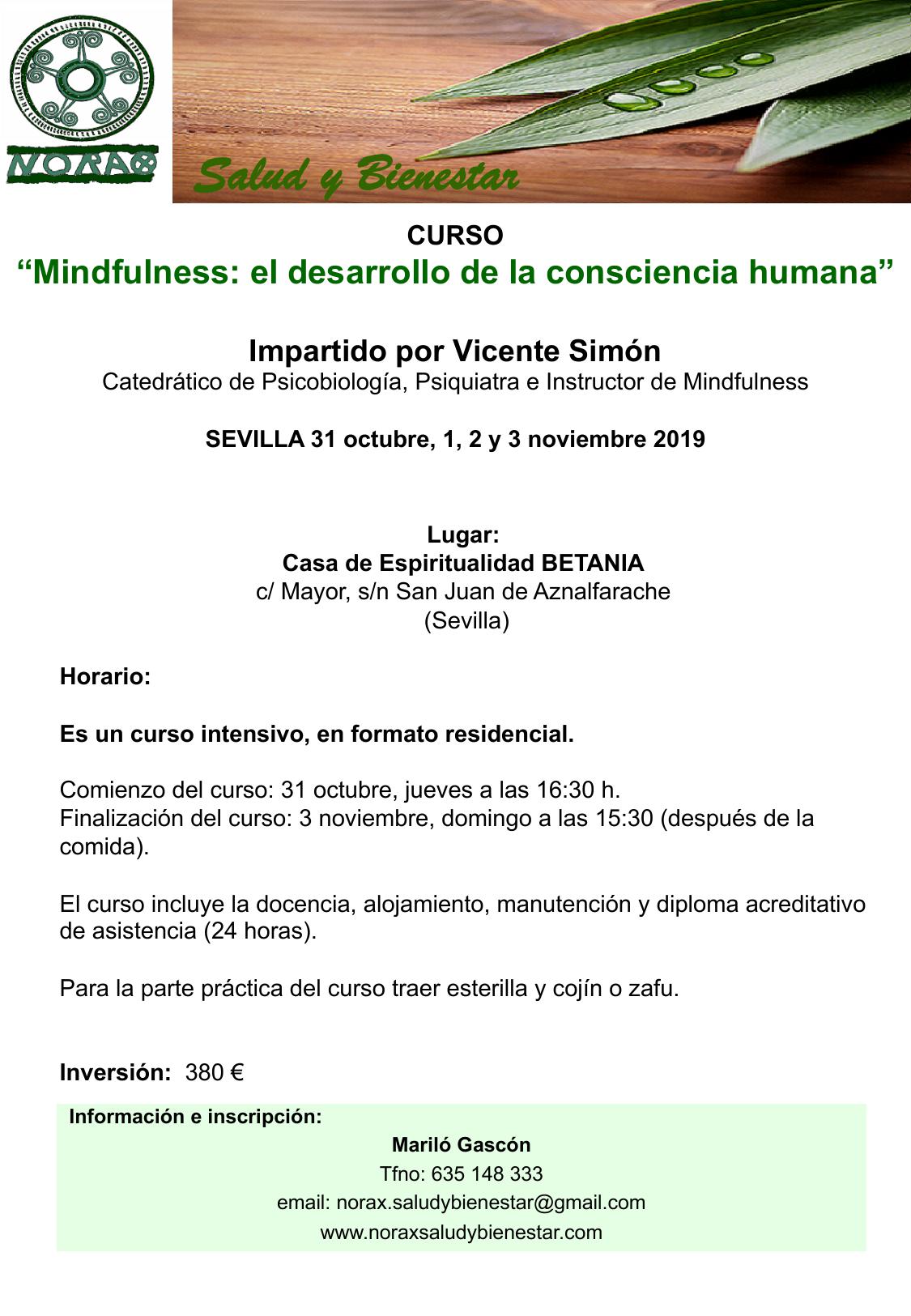 Curso MINDFULNESS: EL DESARROLLO DE LA CONSCIENCIA HUMANA. Impartido por Vicente Simón. Del 31 octubre al 3 de noviembre de 2019. En Sevilla.