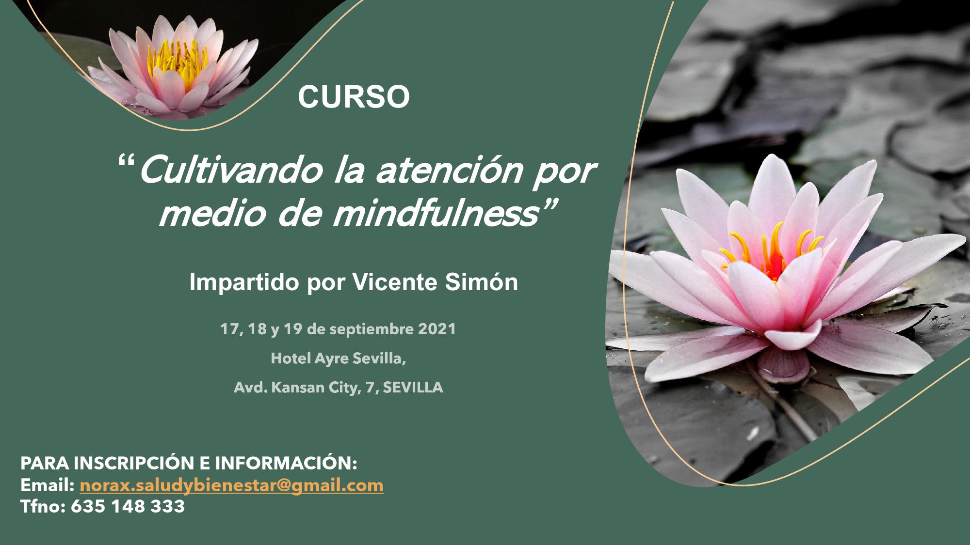 Curso «Cultivando la atención por medio de Mindfulness», impartido por Vicente Simón en Sevilla, del 17 al 19 de septiembre 2021.