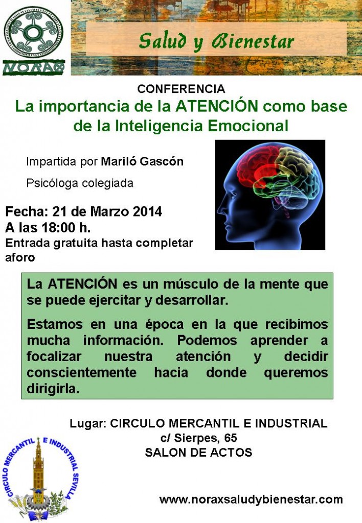 CONFERENCIA SOBRE LA ATENCIÓN MARZO 2014