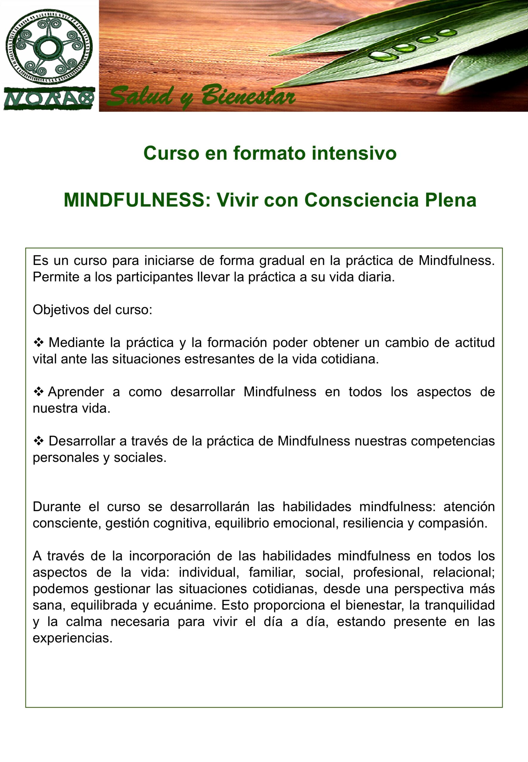Curso Intensivo Mindfulness: vivir con consciencia plena. Septiembre 2018