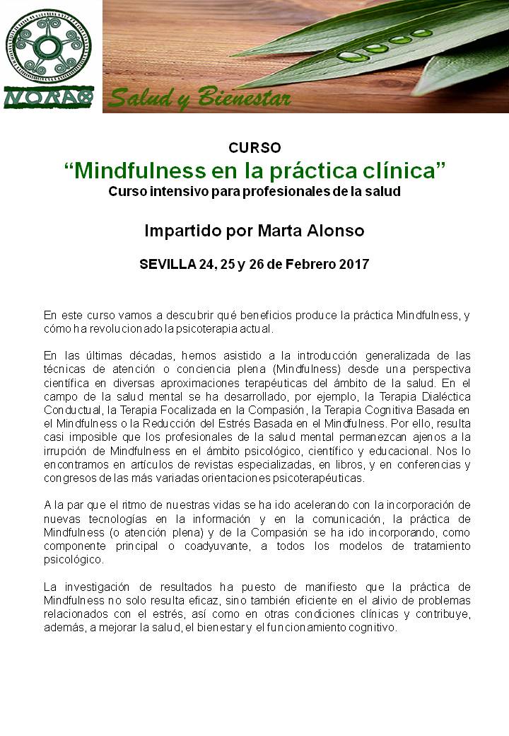 Curso Mindfulness en la práctica clínica. 24, 25 y 26 febrero 2017