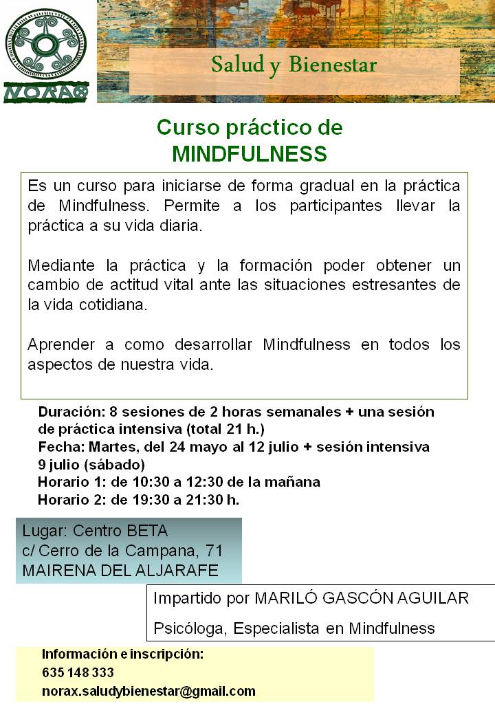 Curso práctico MINDFULNESS, del 24 mayo al 12 julio 2016.