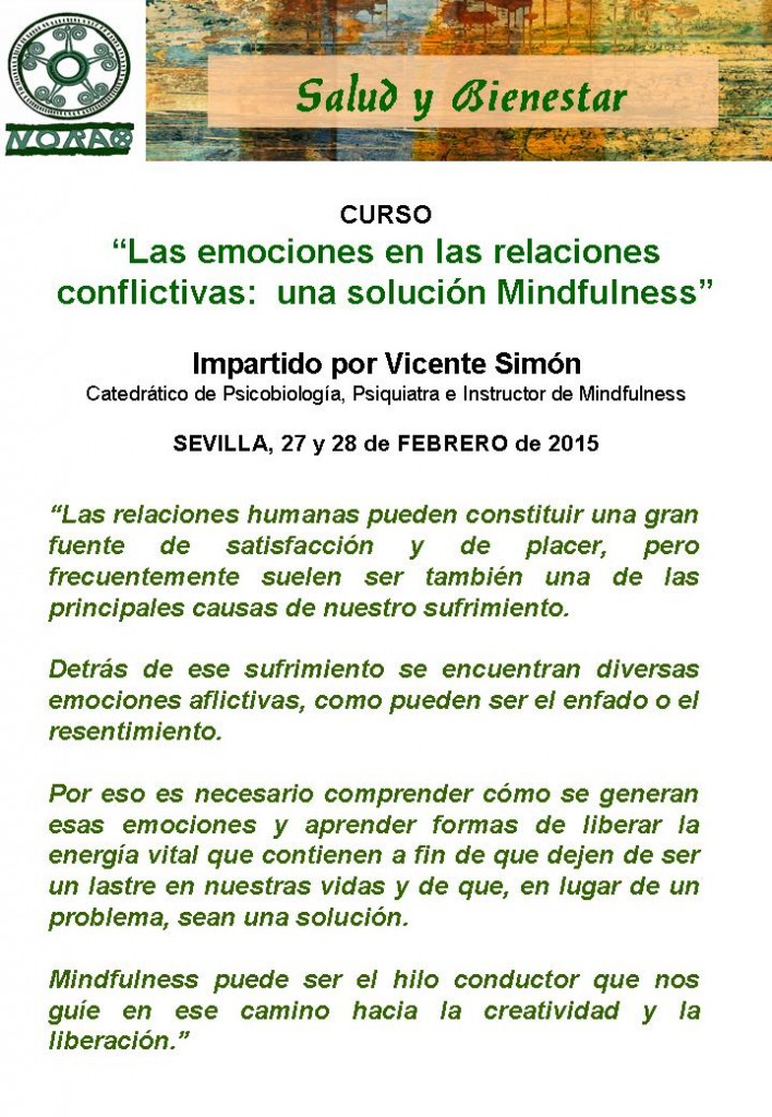 CURSO DE MINDFULNESS CON VICENTE SIMÓN. FEBRERO 2015