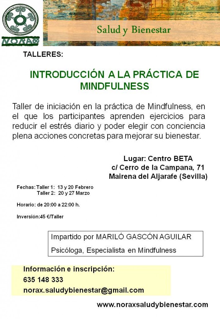 TALLERES DE INICIACIÓN MINDFULNESS FEBRERO/MARZO