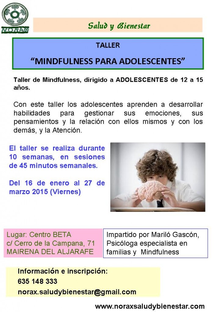 TALLER DE MINDFULNESS PARA ADOLESCENTES