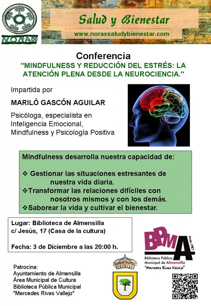 CONFERENCIA BIBLIOTECA DE ALMENSILLA/3 DE DICIEMBRE 2014