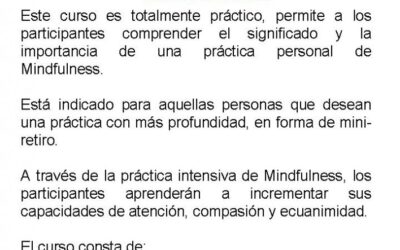 CURSO/RETIRO MINDFULNESS 22 DE NOVIEMBRE