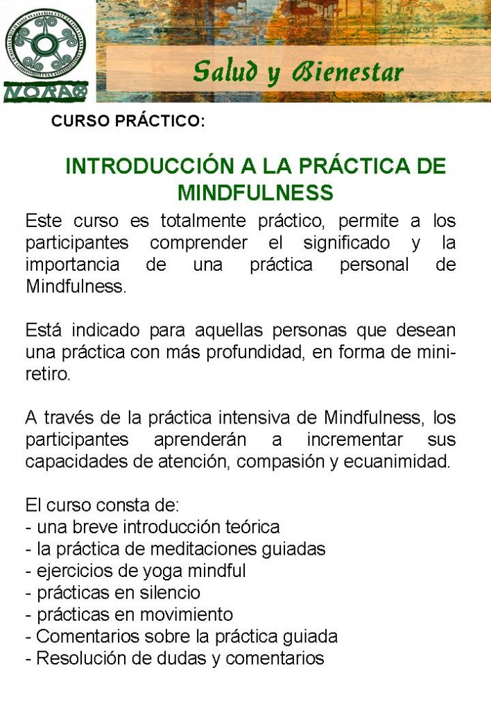 CURSO/RETIRO MINDFULNESS 22 DE NOVIEMBRE