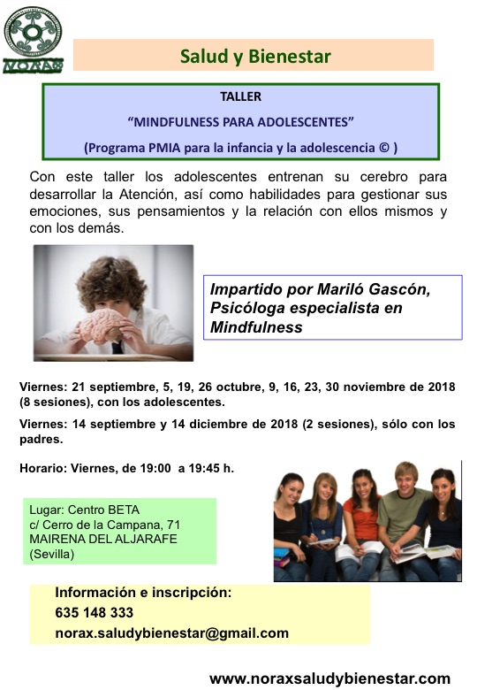 TALLER MINDFULNESS para adolescentes. Del 14 septiembre al 14 diciembre de 2018