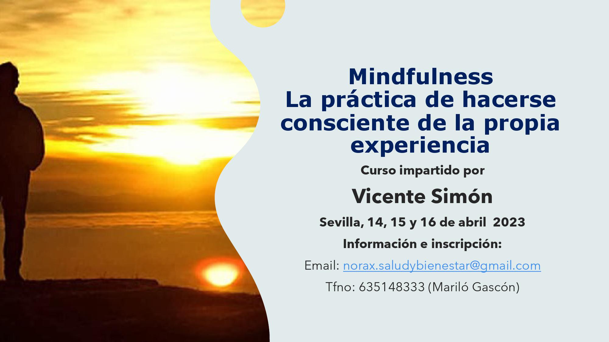 Curso «Mindfulness: la practica de hacerse consciente de la propia experiencia». Impartido por Vicente Simón en Sevilla, del 14 al 16 de abril de 2023