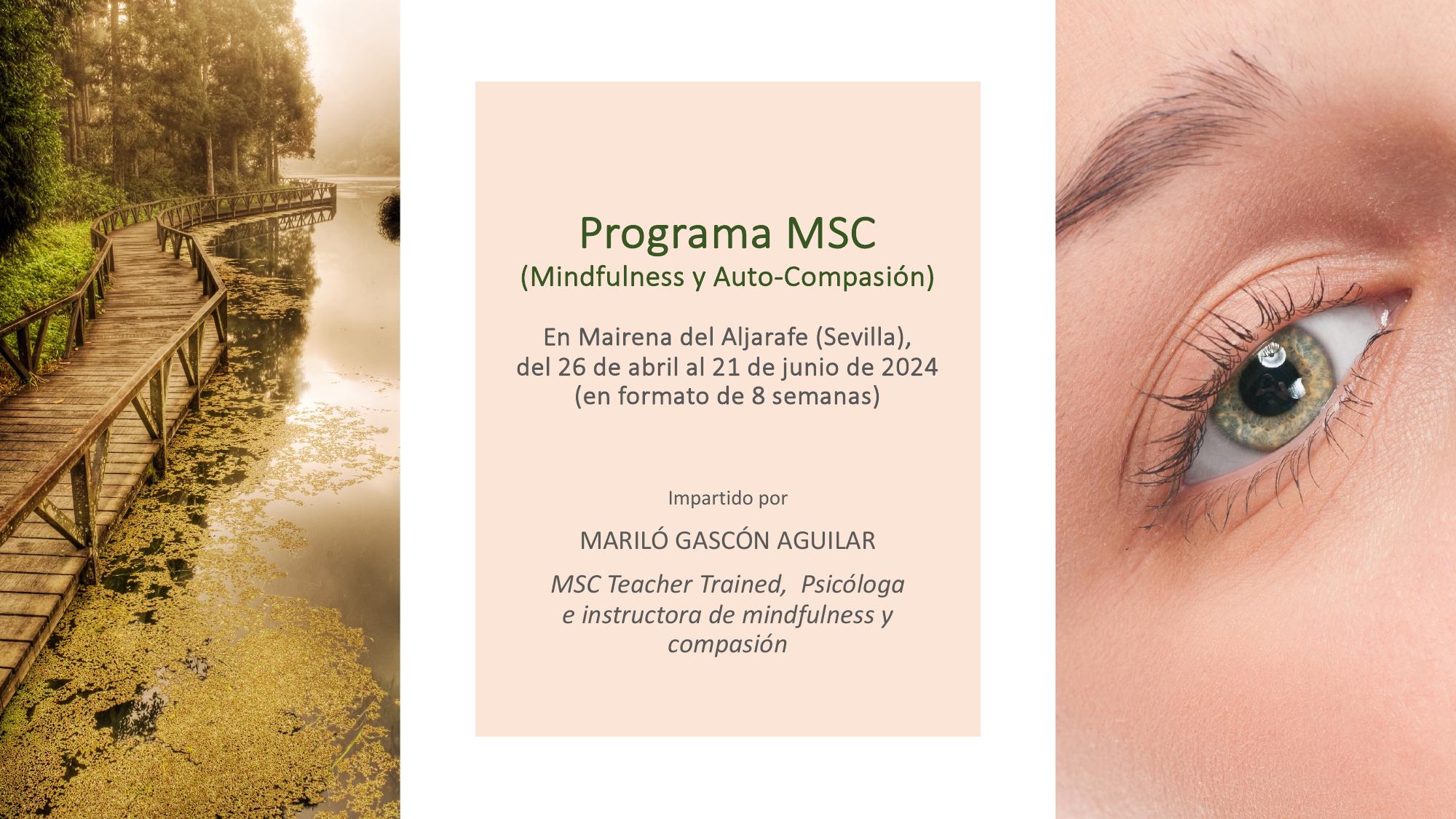 Programa MSC (Mindfulness y Auto-compasión), del 26 de abril al 21 de junio de 2024, en Mairena del Aljarafe (Sevilla)